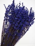 lavanda preservada