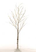 ARBOL ABEDUL