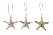 estrella mar colgar
