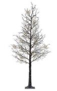 ARBOL SECO CLUZ H125CM